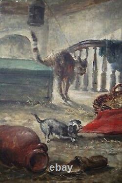 19th, Ancient Painting, Animals, Dogs, Chiots And Cat, Oil On Wood, Signed