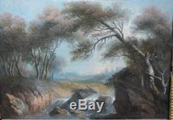 19th Century Oil On Canvas Painting Of An Undergrowth With Empire Frame
