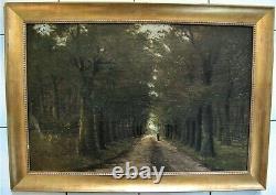 2914 Oil On Wood Path Under Wood 59 CM X 39 CM Barbizon Belgian School Signed