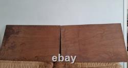 2 oils on panel signed underwater scene Mediterranean fish vintage