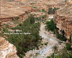 A. Joriot Around 1930. Beautiful Orientalist. Animated Landscape in the Aurès in Algeria
