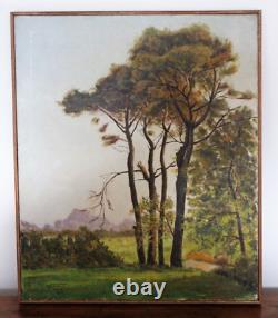 Abel Valabregue HST signed and dated 9 1923 Underbrush Landscape