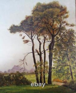 Abel Valabregue HST signed and dated 9 1923 Underbrush Landscape