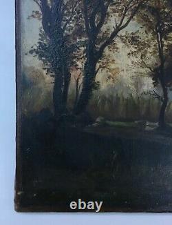 Ancient Painting, Barbizon, Oil On Canvas, Undergrowth Landscape, Trees, 19th Century