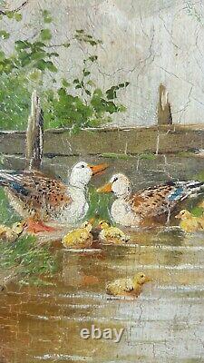 Ancient Painting Ducks Painting Oil Antique Oil Painting Ölgemälde Dipinto