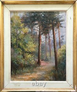 Ancient Painting Hsp Path In Sunny Pine Forest