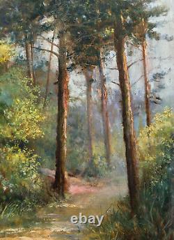 Ancient Painting Hsp Path In Sunny Pine Forest