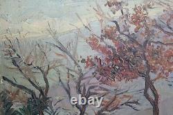 Ancient Painting, Oil On Wood Signed André Douhin (1863-1936) Southern Landscape