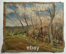 Ancient Painting Signed, Oil On Canvas, To Restore, Path, Wood, Early 20th Century