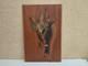 Antique Oil Painting On Solid Wood Panel Hunting 55 X 36.5 Cm