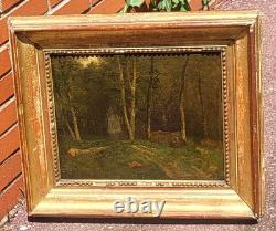 Antique painting signed. Underwood landscape. Oil on canvas.