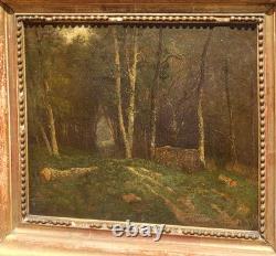 Antique painting signed. Underwood landscape. Oil on canvas.