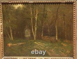 Antique painting signed. Underwood landscape. Oil on canvas.