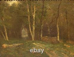 Antique painting signed. Underwood landscape. Oil on canvas.