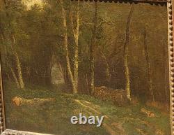 Antique painting signed. Underwood landscape. Oil on canvas.