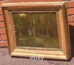 Antique painting signed. Underwood landscape. Oil on canvas.
