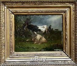 Antonio Cordero Cortes 1827-1908. Beautiful Barbizon & Cow & Bull In A Meadow