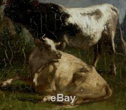 Antonio Cordero Cortes 1827-1908. Beautiful Barbizon & Cow & Bull In A Meadow