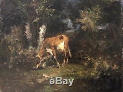 Barbizon School, Late Nineteenth, Cow In An Undergrowth, Oil On Canvas, Painting