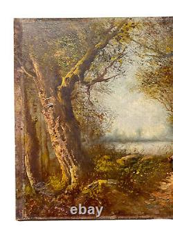 Drev Oil On Carton Signed School Of Barbizon Landscape Sub-bois Characterization Lake