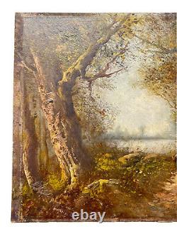 Drev Oil On Carton Signed School Of Barbizon Landscape Sub-bois Characterization Lake