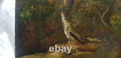 Dutch School Of XVIII Oil On Wood Follower Jacob Van Ruysdael