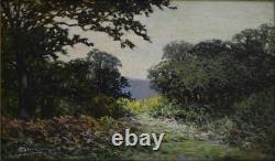 Émile Demé 19th/20th Century. Cornel Wood near Tarbes