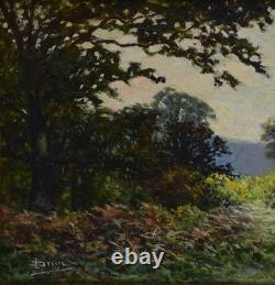 Émile Demé 19th/20th Century. Cornel Wood near Tarbes