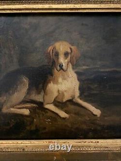 Former Animal Painting Alexandre Gabriel Decamps (1803-1860) Timbelle / Port