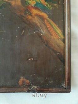 Former Painting Birds And Flowers Animal Jungle Botanical Art Naif Rousseau