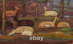 Framed painting of animal art by Spanish painter Mateo HERNANDEZ, deer in the forest