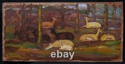 Framed painting of animal art by Spanish painter Mateo HERNANDEZ, deer in the forest