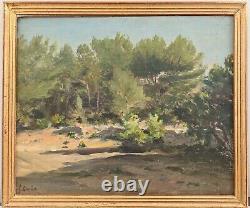 Francois Gautier (1842-1917) La Pinède En Provence Impressionism
