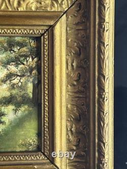 French School 19th Century Oil on Cardboard Underwood Landscape River 1880