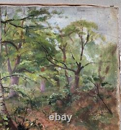 Grand Table Ancient Oil Landscape Underwood Forest Trees Barbizon School XIX