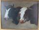 Hsp Cows Oil Painting Rosa Bonheur