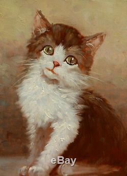 Karl Kaufmann Gilbert Picture Oil Cat Kitten Portrait Oil Austria Animal
