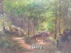 Landscape Nature Wood Forest Rock Underwood Clearing Barbizon Fontainebleau