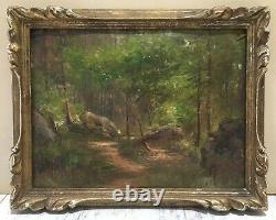 Landscape Nature Wood Forest Rock Underwood Clearing Barbizon Fontainebleau