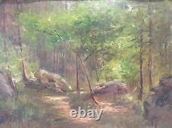 Landscape Nature Wood Forest Rock Underwood Clearing Barbizon Fontainebleau