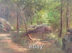 Landscape Nature Wood Forest Rock Underwood Clearing Barbizon Fontainebleau