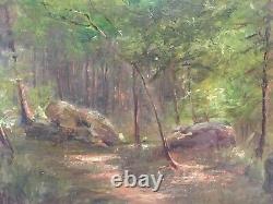 Landscape Nature Wood Forest Rock Underwood Clearing Barbizon Fontainebleau