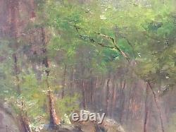 Landscape Nature Wood Forest Rock Underwood Clearing Barbizon Fontainebleau