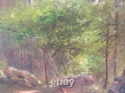 Landscape Nature Wood Forest Rock Underwood Clearing Barbizon Fontainebleau