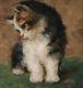 Max Albert Carlier 1872, Superb, Cat, Kitten, Quotes Up To 16,500 Euros