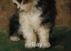 Max Albert Carlier 1872, Superb, Cat, Kitten, Quotes Up To 16,500 Euros