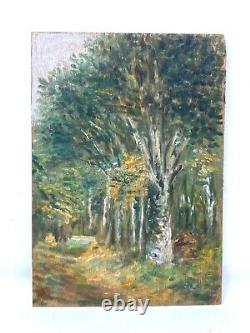 Oil On Panel & Wood & Forest & Trees & Painting & Around 1930 & France