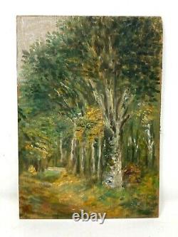 Oil On Panel & Wood & Forest & Trees & Painting & Around 1930 & France