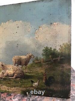 Oil On Panel Wood School Flemish Sheep Poule Auguste Coomans 1855-1896