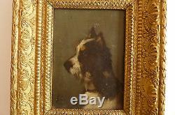 Oil On Wood Panel Nineteenth Dog Portrait Jules Chardigny 1842-1892-et / Eb Ch